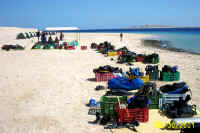 website pics0008.jpg (727456 bytes)