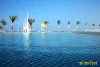 website pics0009.jpg (173758 bytes)