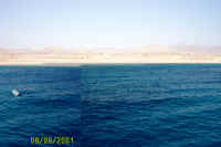 website pics0016.jpg (554156 bytes)