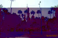 website pics0017.jpg (485539 bytes)