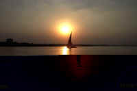 website pics0029.jpg (323944 bytes)