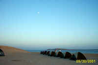 website pics0031.jpg (405679 bytes)