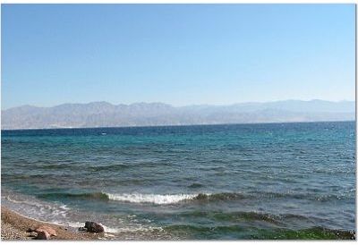 jordan.jpg (18581 bytes)