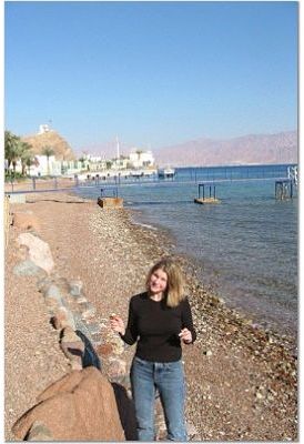 shells.jpg (25134 bytes)