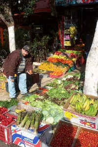 buyingfruit.JPG (35294 bytes)